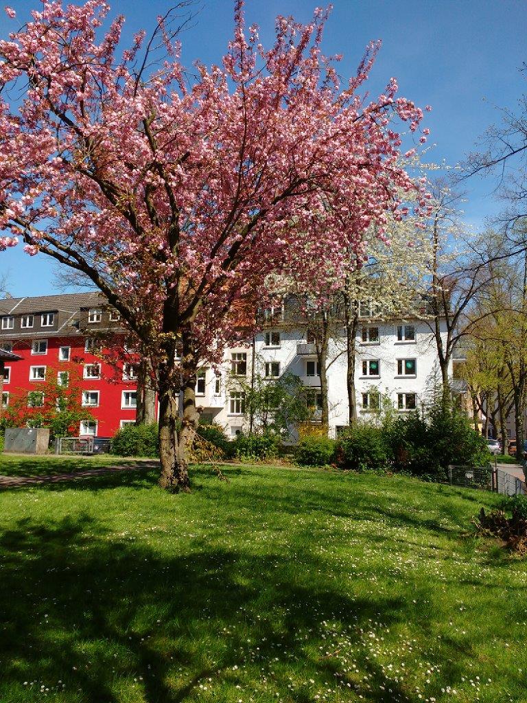 IMG_20160421_141543545